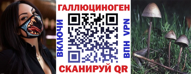 закладка  Фурманов  ссылка на мегу ONION  Псилоцибиновые грибы Psilocybine cubensis 